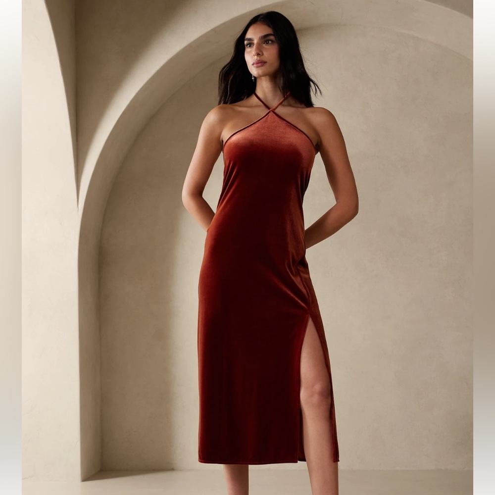 NWT Womens medium velvet midi dress